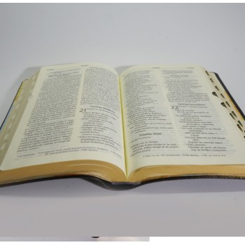 Sveto pismo SSP - Luksuzna izdaja, brez devterokanoničnih knjig